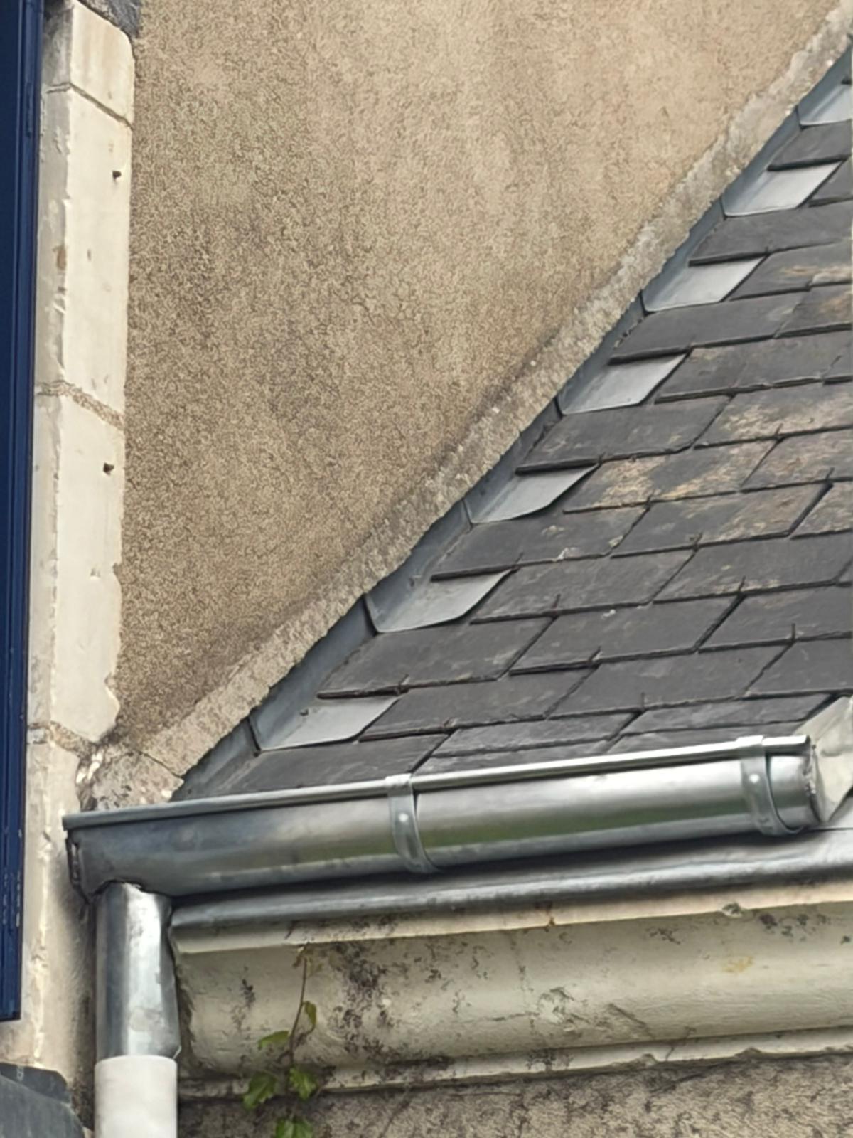 Gouttière zinc et toiture en ardoise sur une maison en Sologne