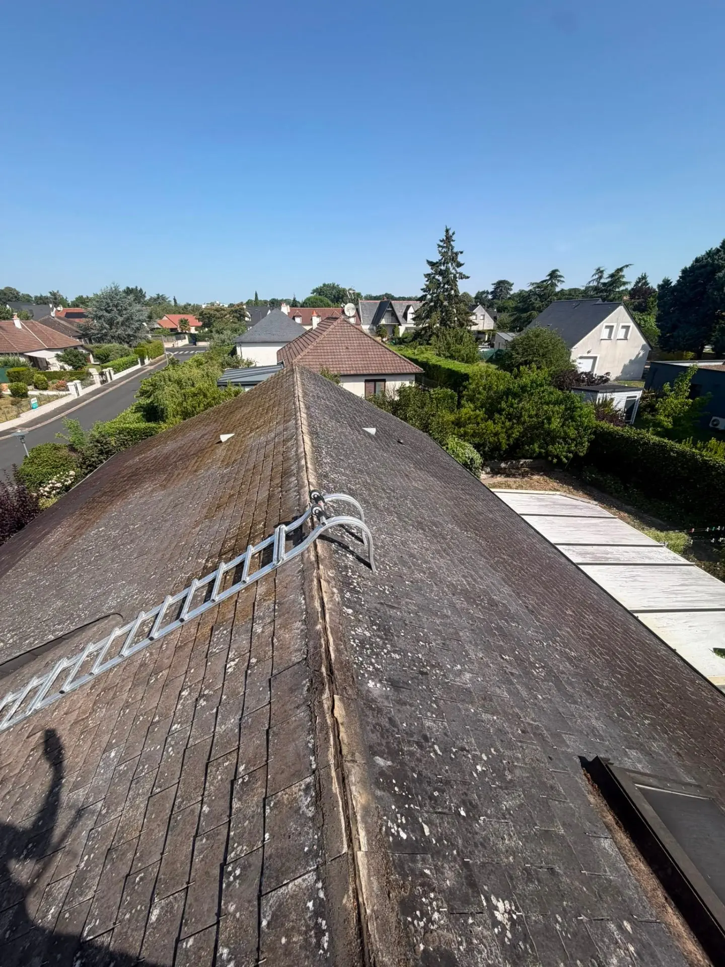 Toiture en tuiles avant démoussage, vue depuis le faîte avec échelle de couvreur